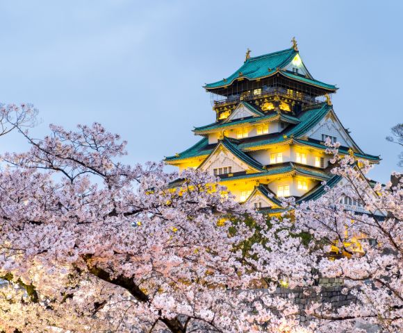 An illuminated traditional Japanese castle with tiered green roofs, framed by blooming cherry blossom trees at dusk.