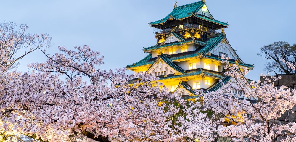 An illuminated traditional Japanese castle with tiered green roofs, framed by blooming cherry blossom trees at dusk.