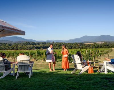 People relaxing in Adirondack chairs on a grassy lawn in front of a vineyard with mountains in the background.