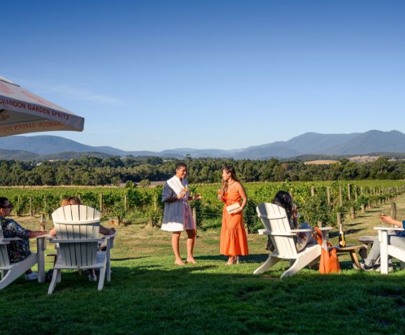 People relaxing in Adirondack chairs on a grassy lawn in front of a vineyard with mountains in the background.