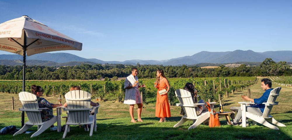 People relaxing in Adirondack chairs on a grassy lawn in front of a vineyard with mountains in the background.