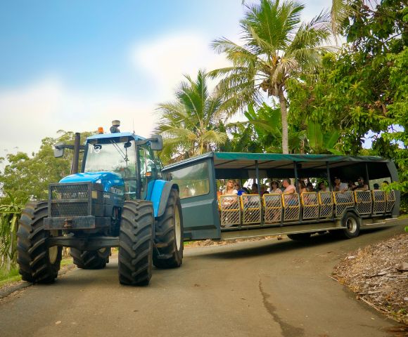 A blue tractor pulls a trailer filled with passengers through a tropical landscape with palm trees and lush vegetation.