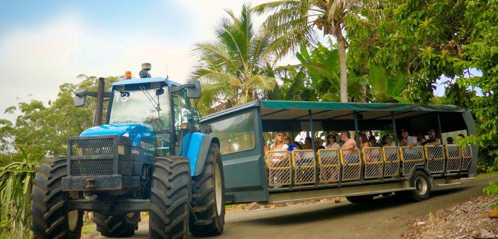 A blue tractor pulls a trailer filled with passengers through a tropical landscape with palm trees and lush vegetation.