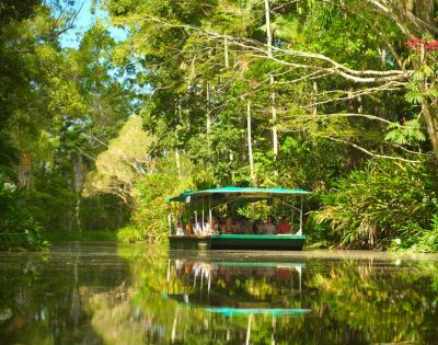A flat-bottomed boat with a green canopy carrying passengers travels on a calm, reflective river surrounded by lush green tropical foliage and trees.