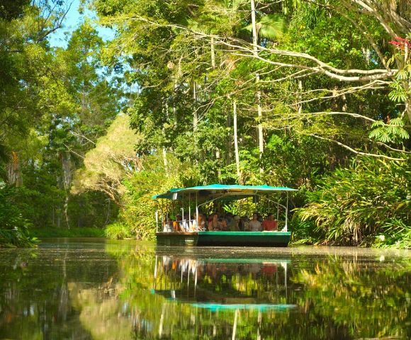 A flat-bottomed boat with a green canopy carrying passengers travels on a calm, reflective river surrounded by lush green tropical foliage and trees.