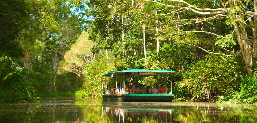 A flat-bottomed boat with a green canopy carrying passengers travels on a calm, reflective river surrounded by lush green tropical foliage and trees.