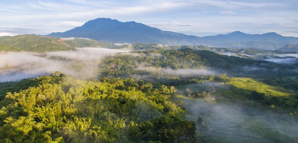 Misty fog rolls through lush green valleys and bamboo forests in the foreground, with a large, blue mountain range in the background under a bright sky.