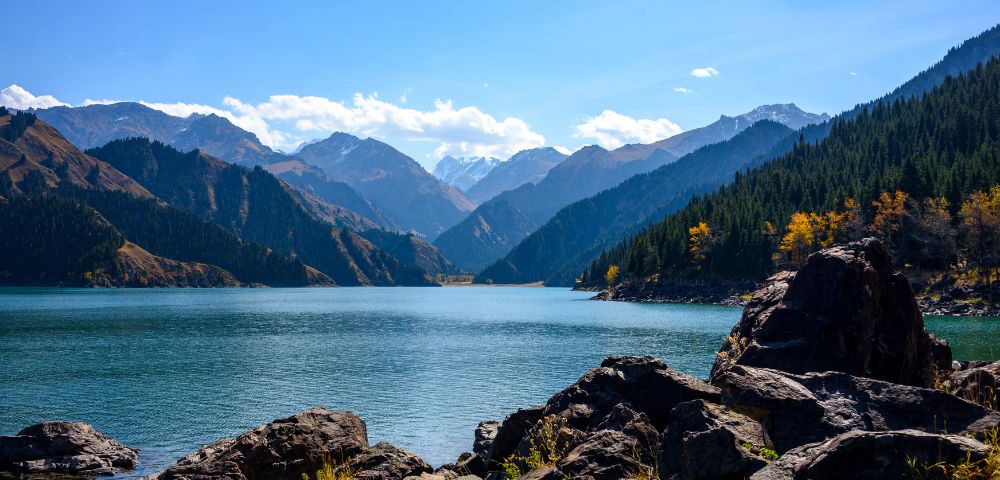 A wide, serene turquoise lake stretches out towards a dramatic mountain range under a clear blue sky with scattered white clouds. Dark green pine forests and patches of golden autumn foliage cling to the steep, brown slopes of the mountains, which are capped with snow in the distance. Jagged, dark rocks and grassy terrain fill the foreground along the lake's edge.