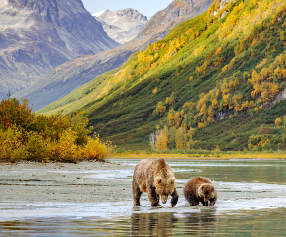 Tokyo, Alaska & Rocky Mountaineer Exploration - Gallery Image