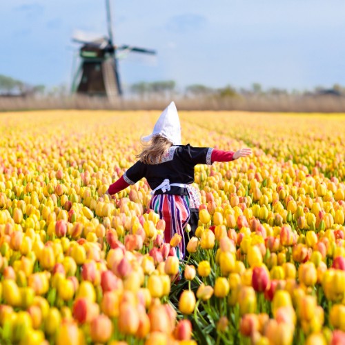 A female in traditional Dutch attire runs joyfully through a vibrant tulip field, with a windmill blurred in the background under a clear blue sky.