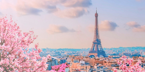 Eiffel Tower rising above Paris cityscape, framed by blooming pink cherry blossoms under a pastel sky with scattered clouds. Romantic and serene.