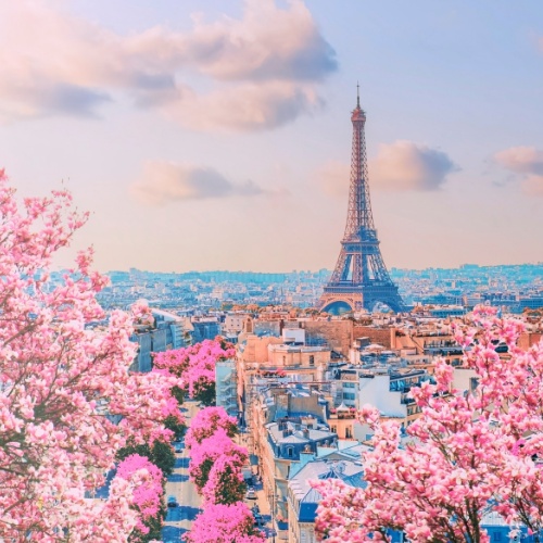 Eiffel Tower rising above Paris cityscape, framed by blooming pink cherry blossoms under a pastel sky with scattered clouds. Romantic and serene.