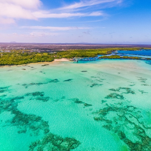 Aerial view of a pristine turquoise lagoon with coral reefs, bordered by lush green vegetation and a distant shoreline under a bright blue sky.