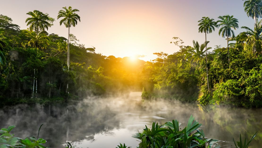 Serene sunrise over a misty tropical river, surrounded by lush green trees and tall palms. The warm glow creates a tranquil, idyllic atmosphere.