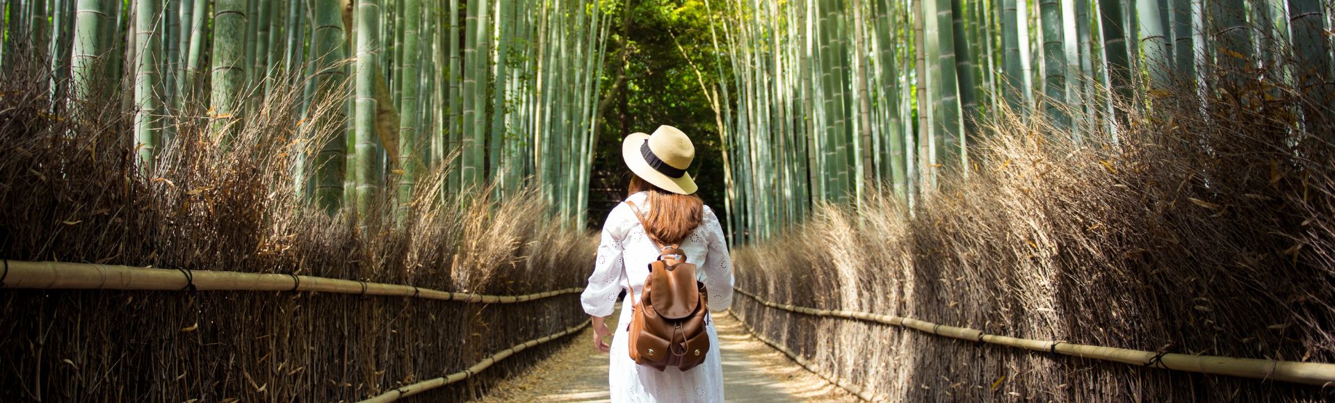 A woman in a white dress and straw hat walks through a serene bamboo forest path. She carries a brown backpack, surrounded by lush green and tall bamboo.
