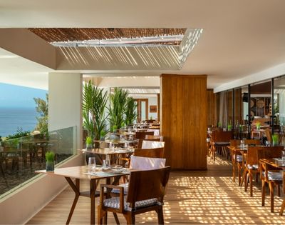 Bright, modern seaside restaurant terrace with wooden furniture, glass railing, green plants, and ocean view under a partial pergola roof.
