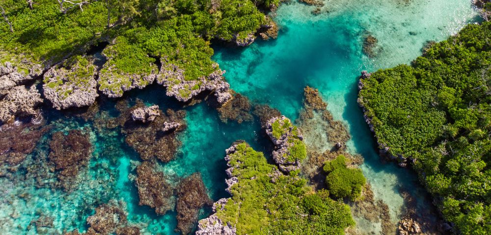 Aerial view of a lush, green island coastline with jagged, rocky shores meeting clear turquoise waters and coral reefs.