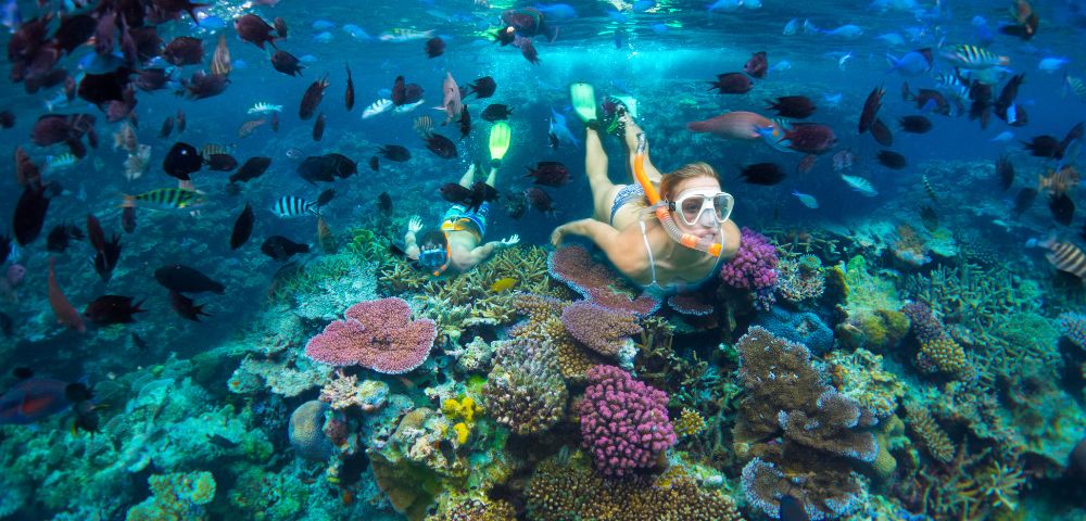 Two snorkelers swim through a vibrant coral reef teeming with diverse schools of colorful fish.