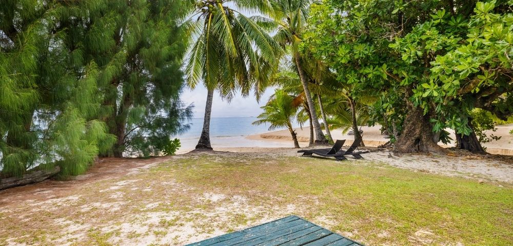 Sandy beachfront area shaded by tropical trees with ocean views beyond