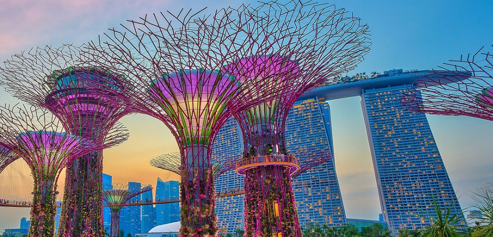 The Supertrees at Gardens by the Bay, Singapore, illuminated with purple and pink lights, stand tall against a twilight sky, with the iconic Marina Bay Sands hotel in the background.