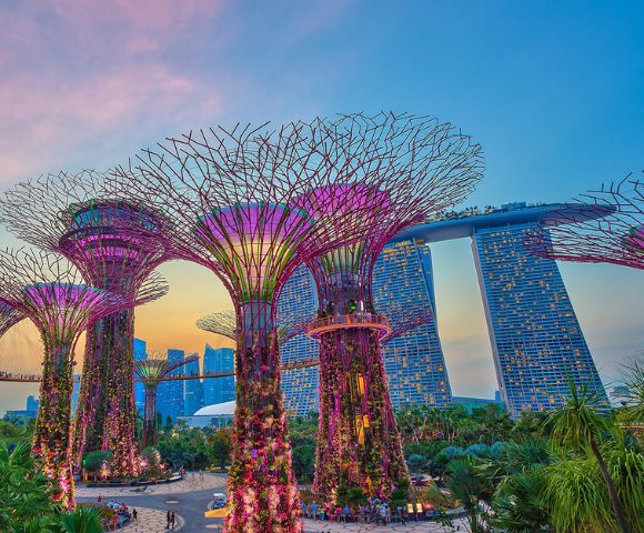 The Supertrees at Gardens by the Bay, Singapore, illuminated with purple and pink lights, stand tall against a twilight sky, with the iconic Marina Bay Sands hotel in the background.