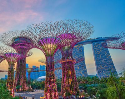The Supertrees at Gardens by the Bay, Singapore, illuminated with purple and pink lights, stand tall against a twilight sky, with the iconic Marina Bay Sands hotel in the background.