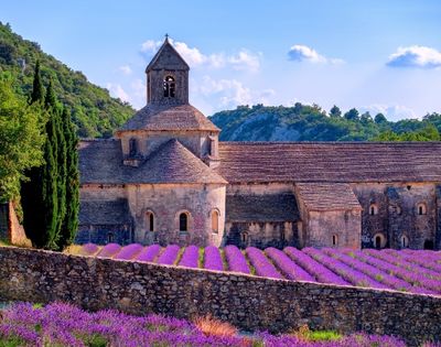 Lavender fields and historic abbey in the Provence countryside