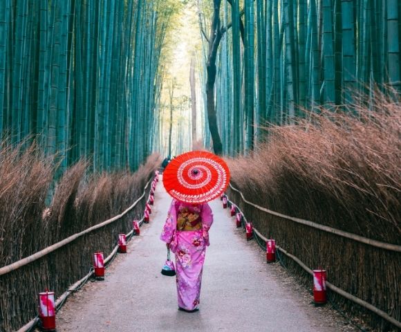 Cherry Blossom Suite Exploration of Japan & Korea - Gallery Image