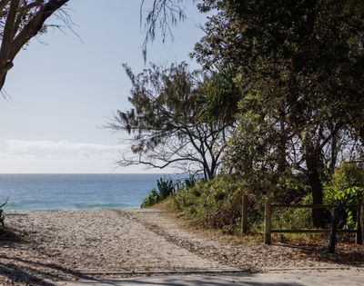 Sandy path leading to a blue ocean under a clear sky, with trees and foliage on the right and left.