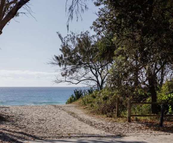 Sandy path leading to a blue ocean under a clear sky, with trees and foliage on the right and left.