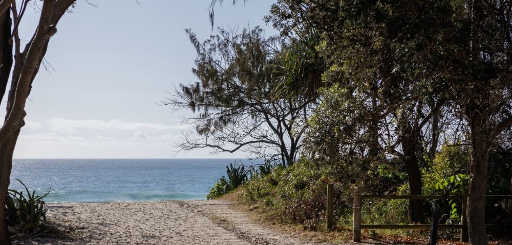 Sandy path leading to a blue ocean under a clear sky, with trees and foliage on the right and left.