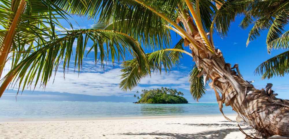 Palm fronds frame a tropical island dotted with palm trees, surrounded by calm, clear blue water under a vibrant blue sky with scattered white clouds.