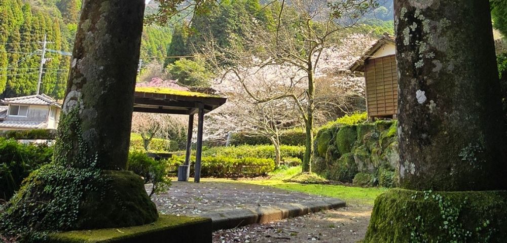 Moss-covered stone pillars frame a view of a traditional Japanese garden with a covered seating area, a small wooden building, and blooming cherry trees.