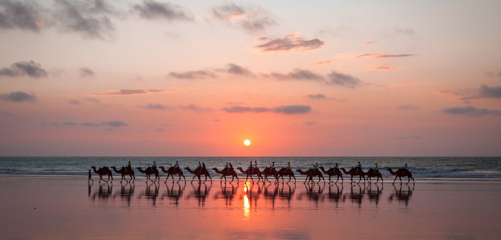 A caravan of camels walks along a wet beach at sunset, silhouetted against a vibrant orange and pink sky with scattered clouds. The setting sun reflects brightly on the calm water and the wet sand, creating a mirror image of the camels and the sky.A caravan of camels walks along a wet beach at sunset, silhouetted against a vibrant orange and pink sky with scattered clouds. The setting sun reflects brightly on the calm water and the wet sand, creating a mirror image of the camels and the sky.