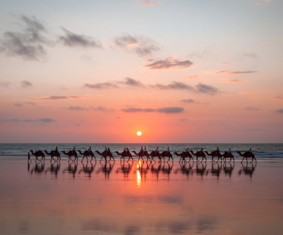 A caravan of camels walks along a wet beach at sunset, silhouetted against a vibrant orange and pink sky with scattered clouds. The setting sun reflects brightly on the calm water and the wet sand, creating a mirror image of the camels and the sky.