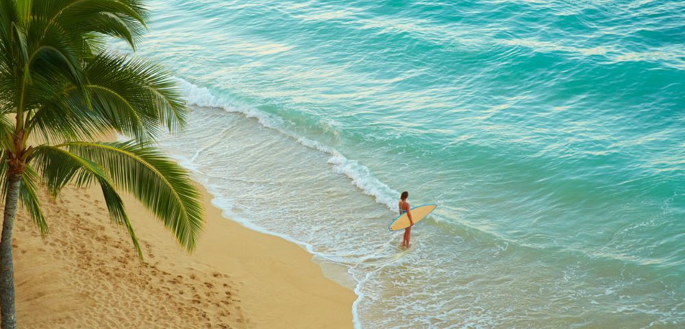 A person stands at the edge of turquoise ocean water holding a yellow surfboard, with a sandy beach and palm tree fronds in the foreground.