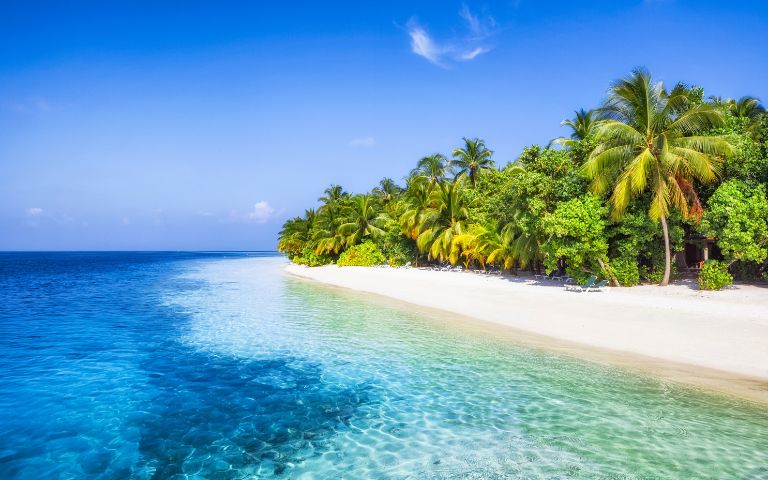 A vibrant tropical island beach with crystal-clear turquoise water lapping at a white sandy shore, lined with lush green palm trees and dense foliage under a clear blue sky.
