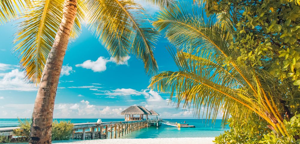 A thatched-roof overwater bungalow sits at the end of a wooden pier extending into a clear turquoise ocean, framed by lush green foliage and the fronds of a palm tree against a vibrant blue sky with scattered white clouds.