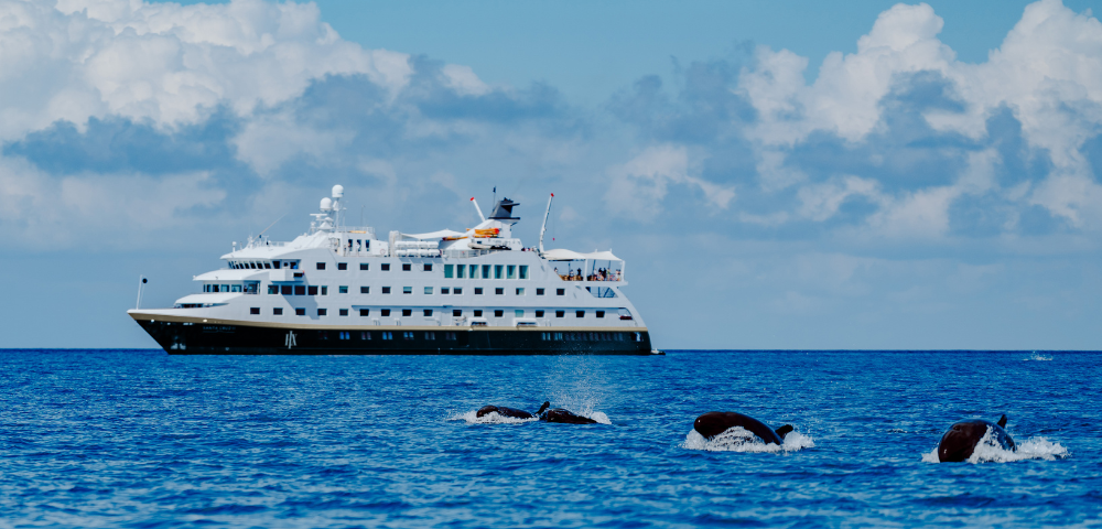 Santa Cruz II - Gallery Image