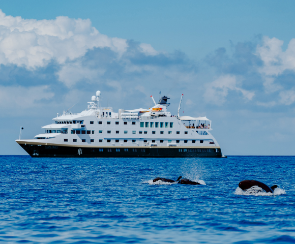Santa Cruz II - Gallery Image