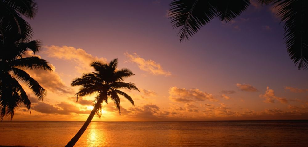 Silhouette of a palm tree against a vibrant sunset over the ocean, with scattered clouds in a gradient sky of orange, purple, and blue.