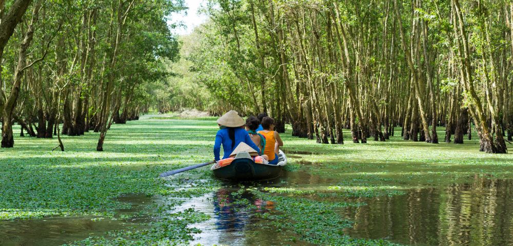 A boat with people wearing conical hats navigates a narrow waterway surrounded by a dense forest of trees growing out of water covered in lush green aquatic plants.