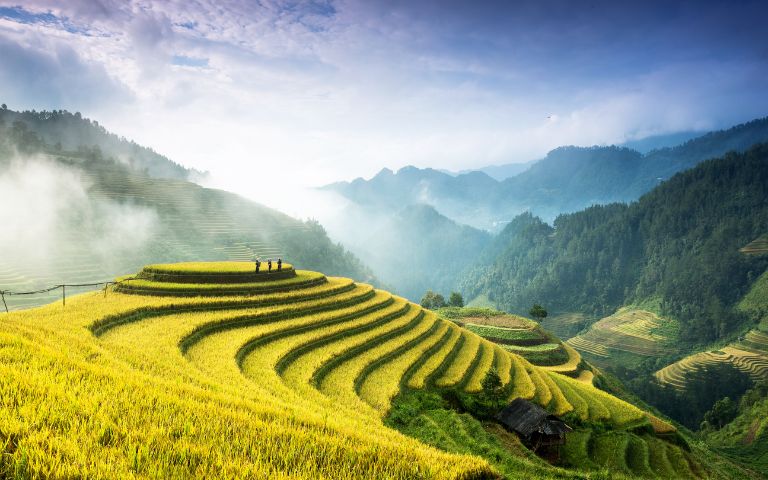 Panoramic view of golden terraced rice fields on a misty mountain landscape with three silhouetted figures standing on the edge of a terrace.