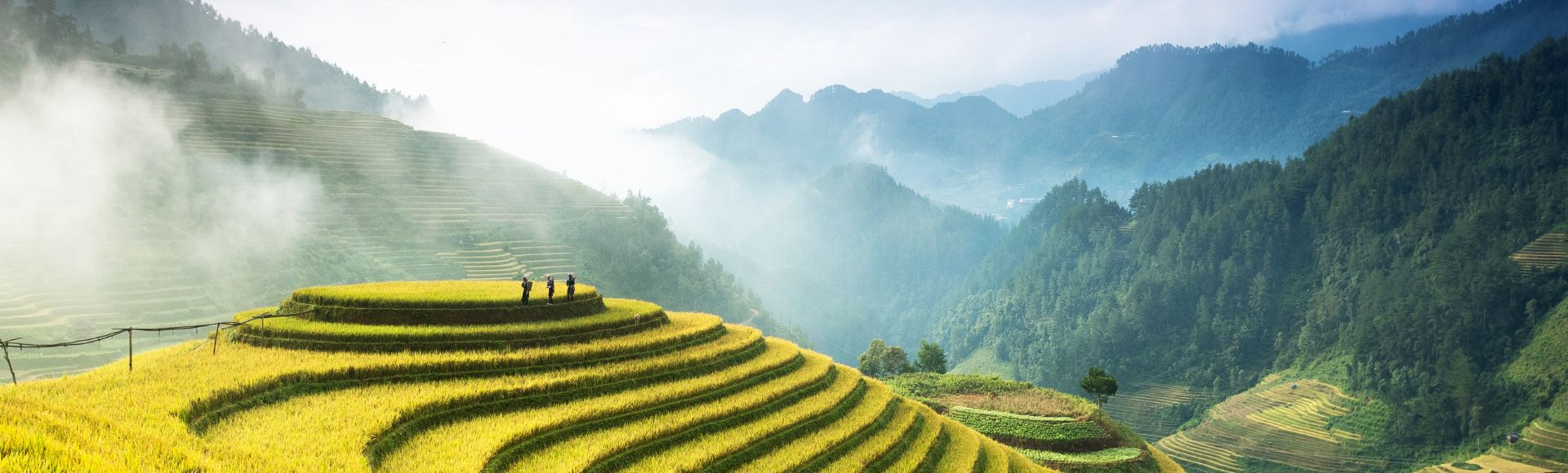 Panoramic view of golden terraced rice fields on a misty mountain landscape with three silhouetted figures standing on the edge of a terrace.