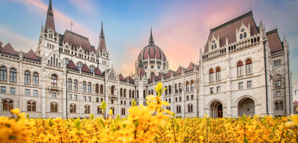 Hungarian Parliament building with spires at sunset, framed by vibrant yellow flowers in the foreground.