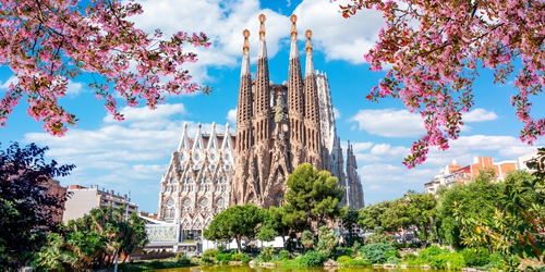 Sagrada Família basilica framed by pink cherry blossoms, reflected in a pond under a bright blue sky in Barcelona.