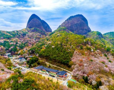 Aerial view of two large rocky mountains surrounded by lush green trees and an array of cherry blossoms in blooming pink. Below, a small village with traditional architecture sits among the colorful landscape, under a clear blue sky.