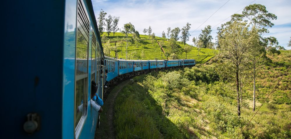 A bright blue train travels on a curved track through lush, green hillsides covered in tea plantations and scattered trees, with passengers visible in the windows.
