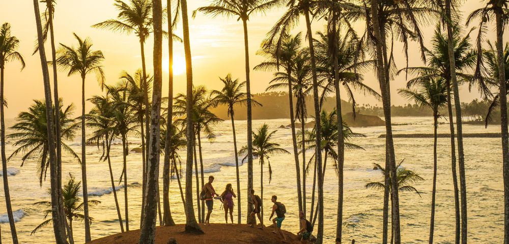 A panoramic view of a tropical coastline at sunset, with silhouettes of numerous palm trees in the foreground against a warm, golden sky.