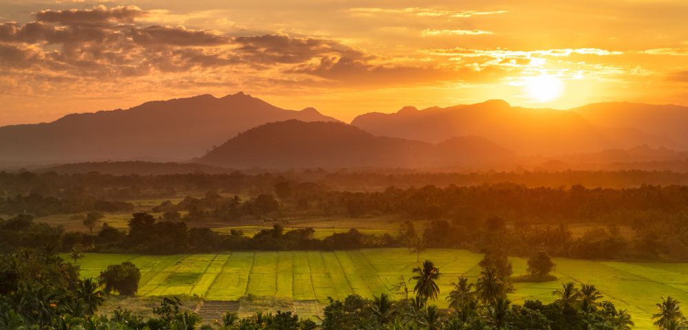 Panoramic view of a misty, mountainous landscape at sunrise, with the sun casting a warm orange glow over rolling hills, lush green fields, and distant, silhouetted mountains.